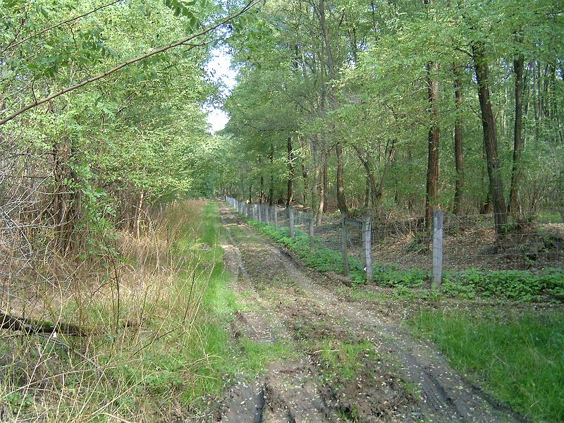2010.10.10. 048.jpg